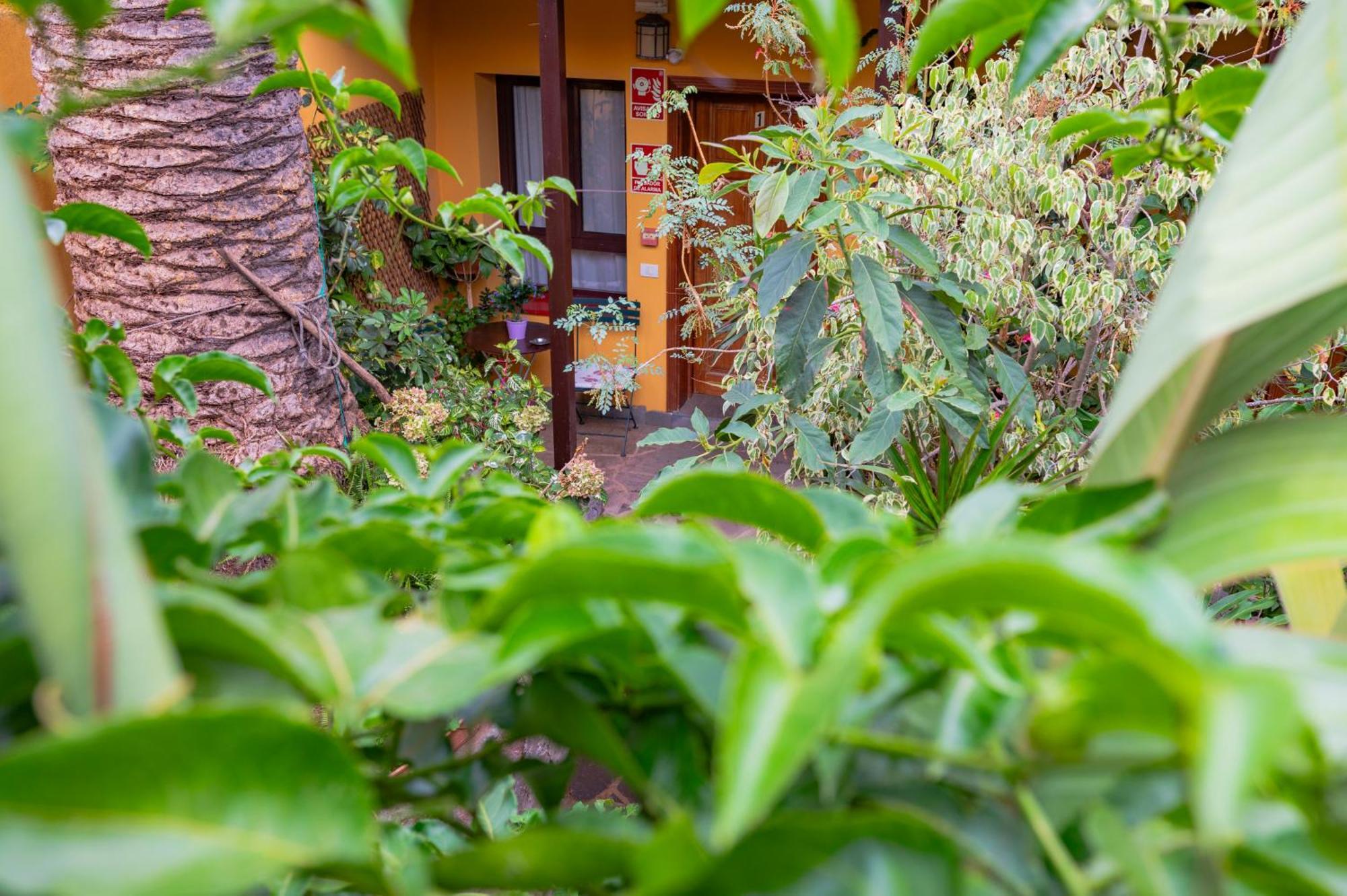 Maison d'hôtes La Asomada Del Gato à La Laguna  Extérieur photo