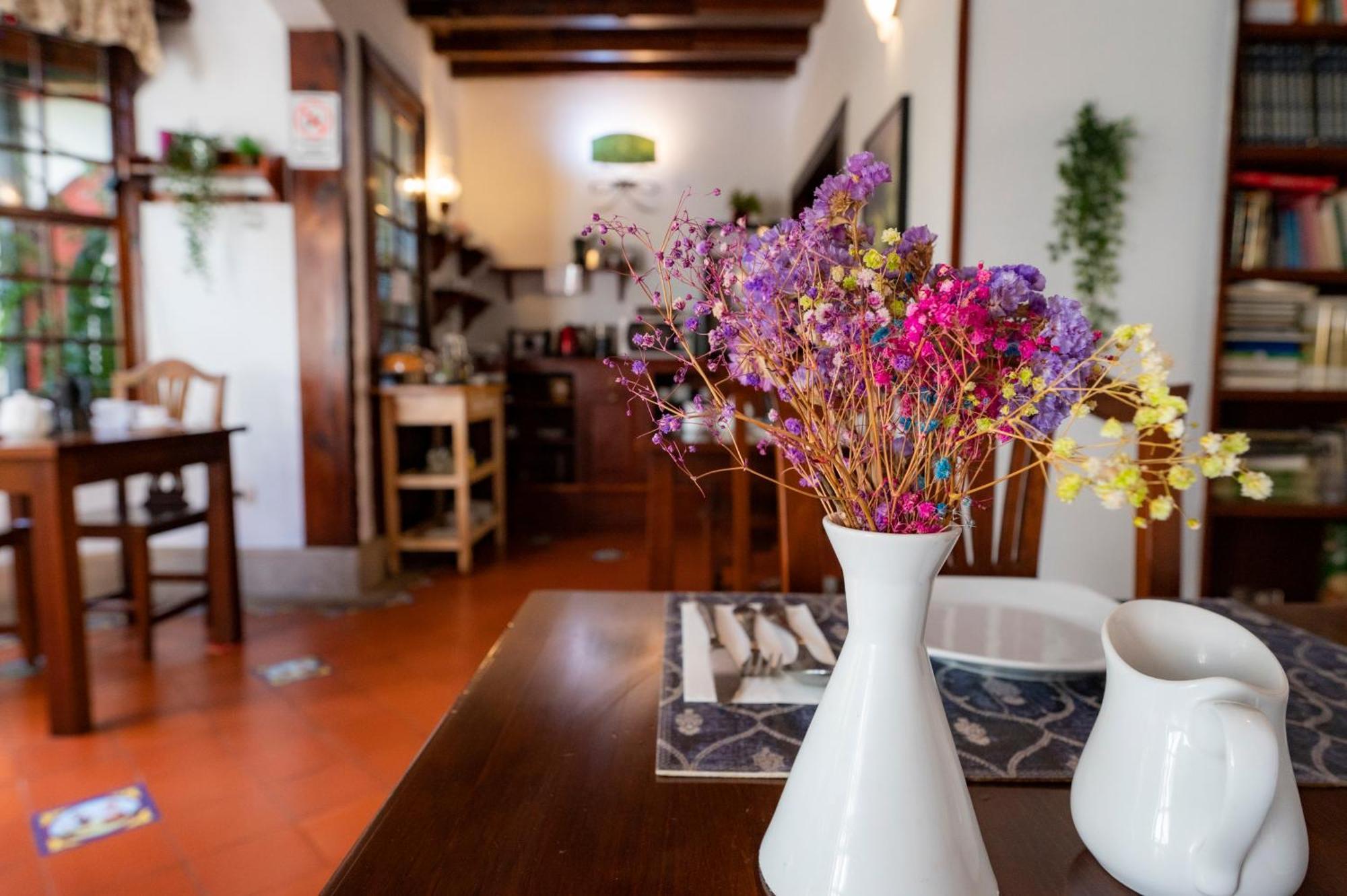 Maison d'hôtes La Asomada Del Gato à La Laguna  Extérieur photo
