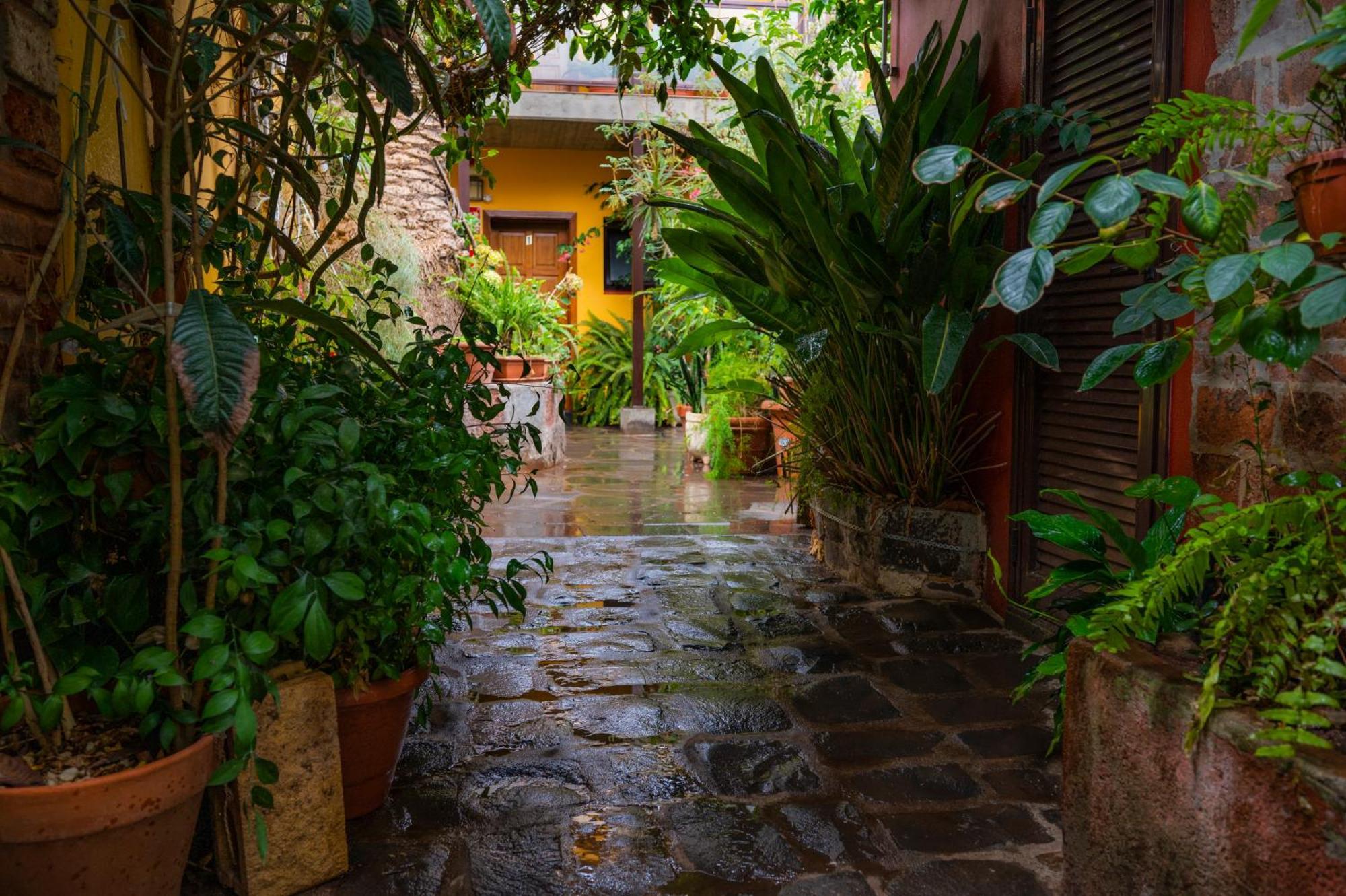 Maison d'hôtes La Asomada Del Gato à La Laguna  Extérieur photo