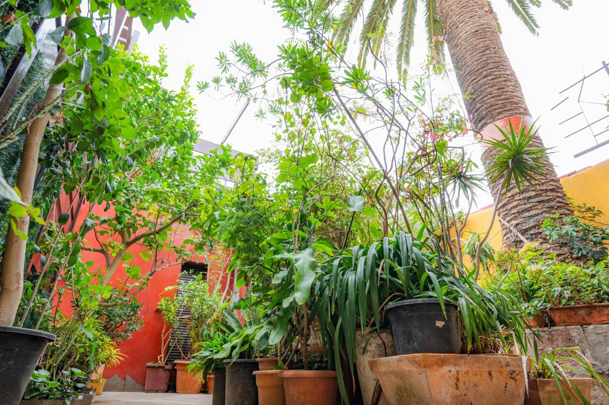 Maison d'hôtes La Asomada Del Gato à La Laguna  Extérieur photo
